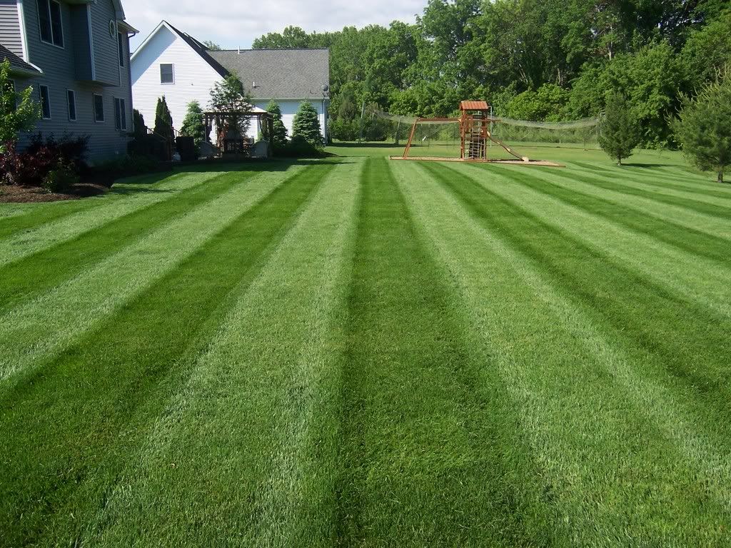 Lawn Mowing
